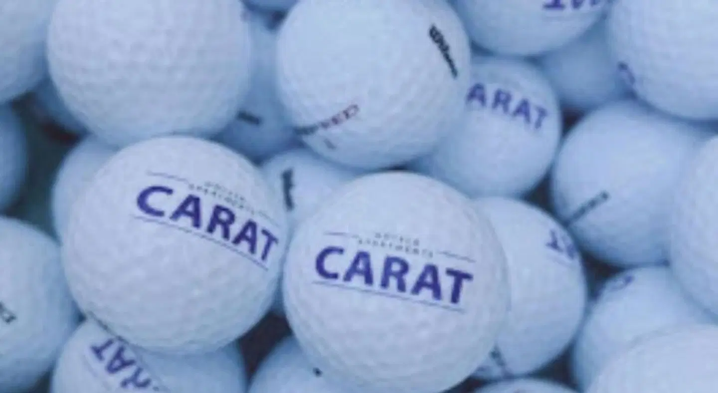 CARAT Apartments Grömitz Tiere