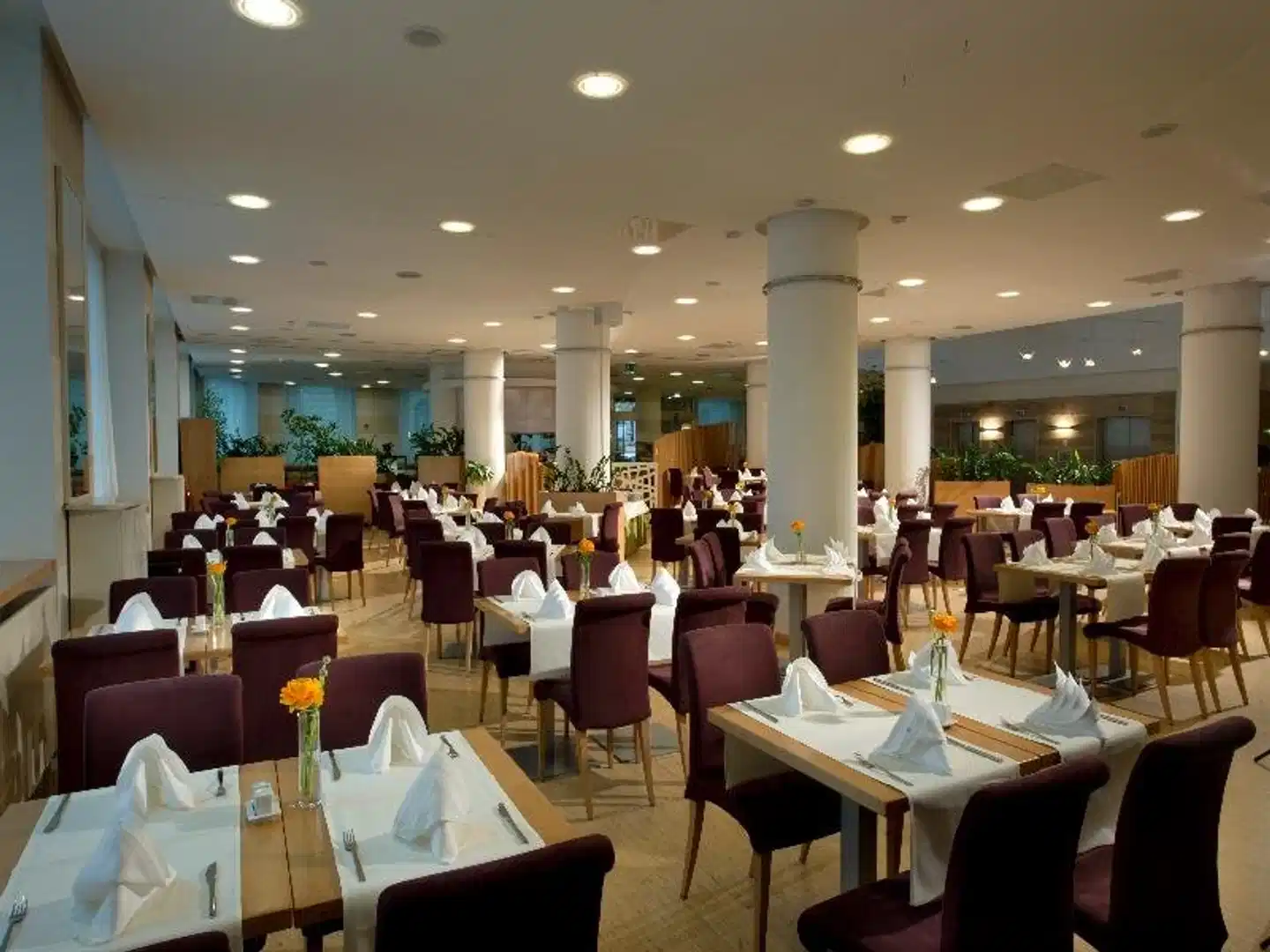 City Hotel Restaurant