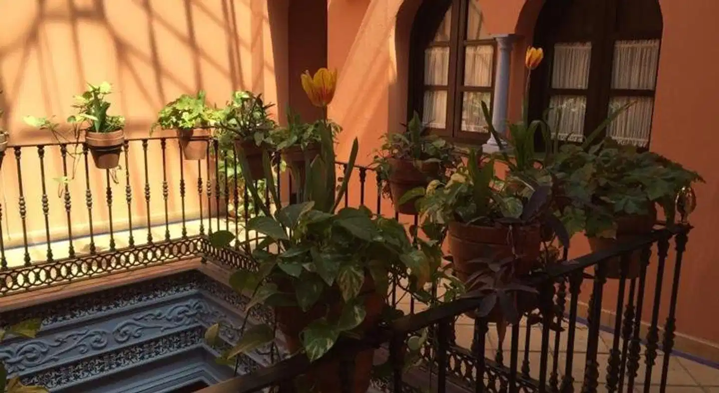 Patio de La Alameda Aussenansicht