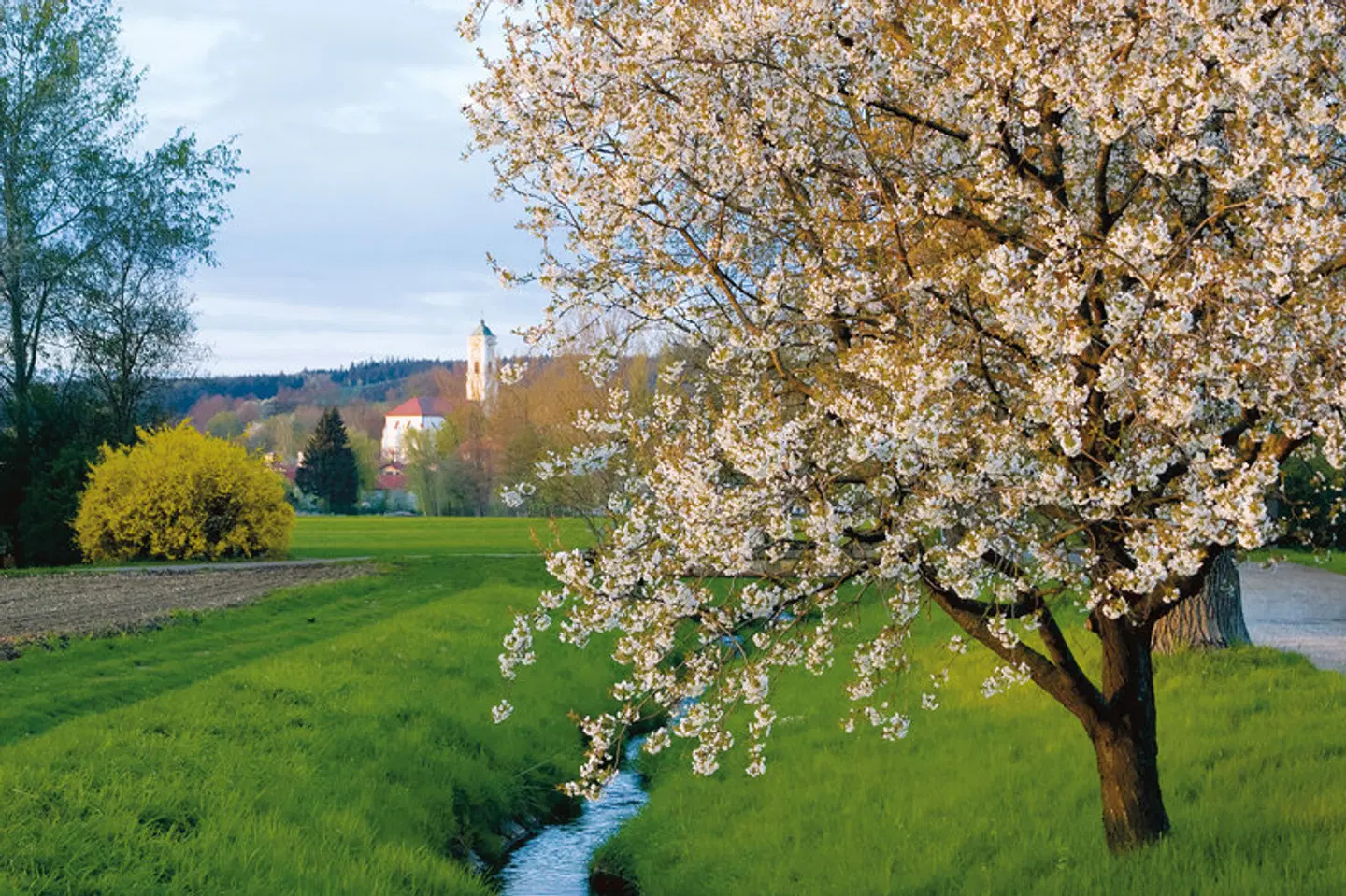 BEST WESTERN Aparthotel Birnbachhoehe Garten