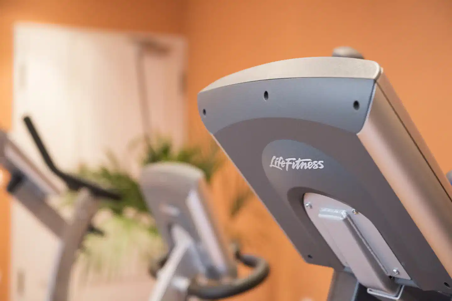 Amba Wellness