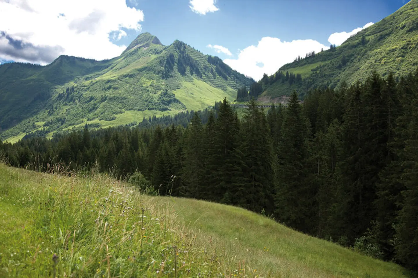 Berghotel Madlener LANDSCAPE