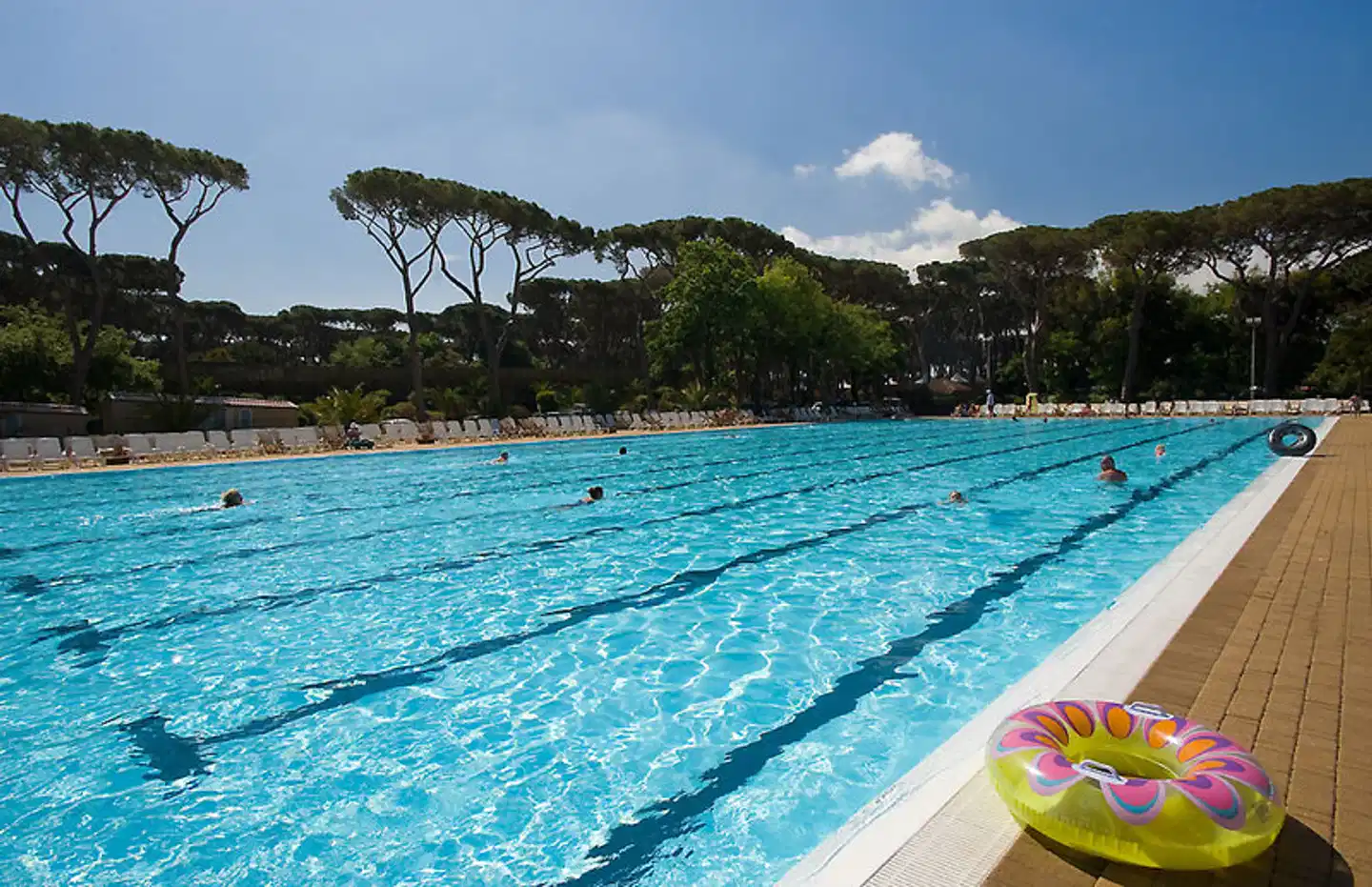 Camping Park Albatros Pool