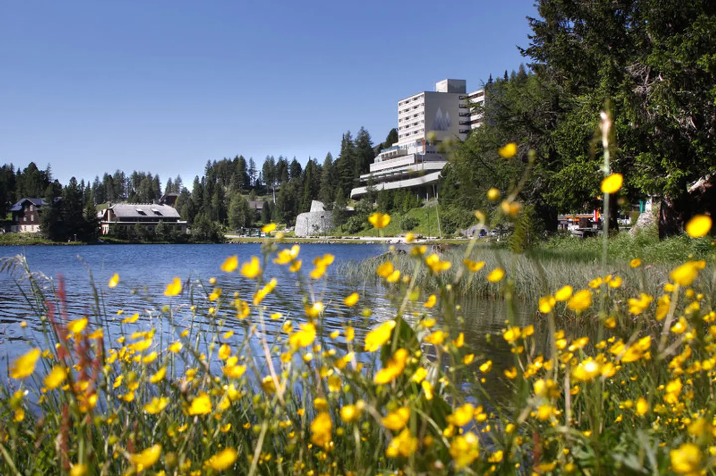 Panorama Hotel Turracher Höhe OUTDOOR_POOL