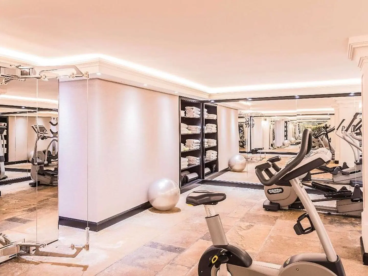 Hotel Rotary Geneva - MGallery SPORTS_AND_LEISURE
