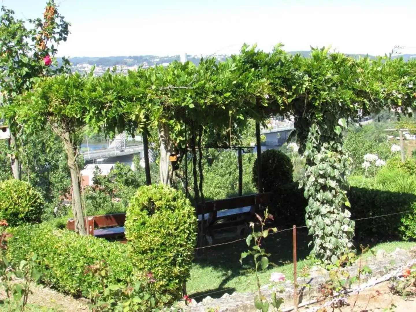 Hotel D. Luis Garten