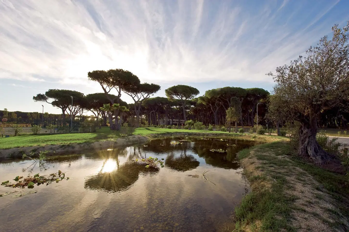 Camping Village Roma Capitol LANDSCAPE
