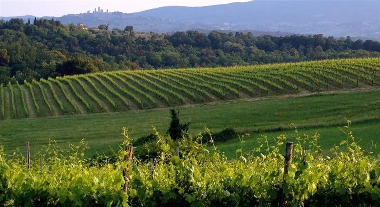 Borgo Di Cortefreda Landschaft