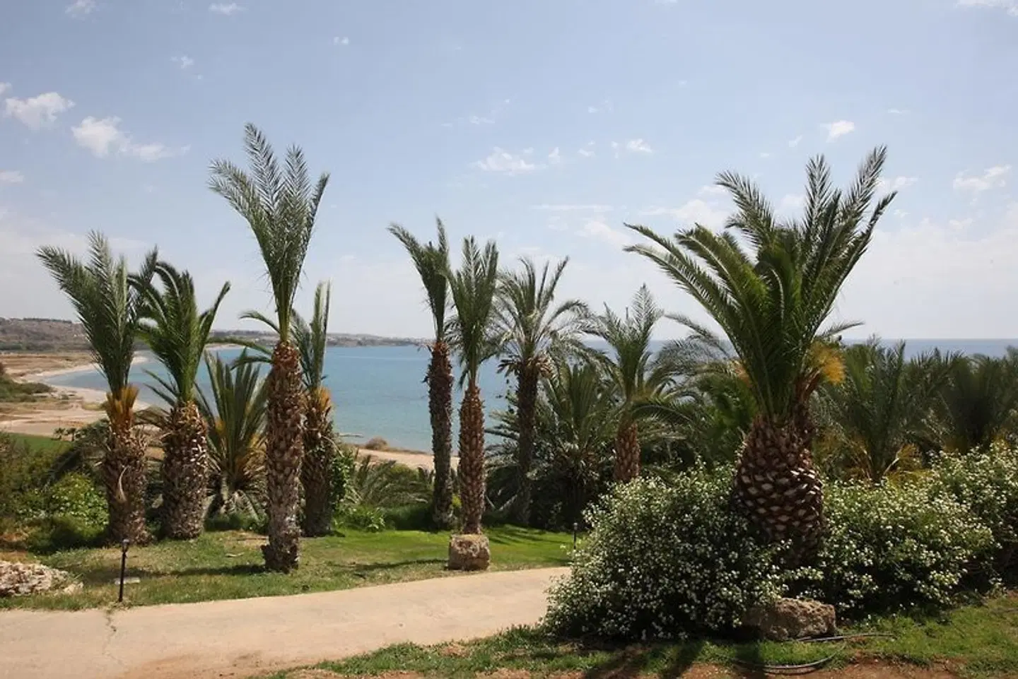 Ascos Coral Beach Hotel Garten