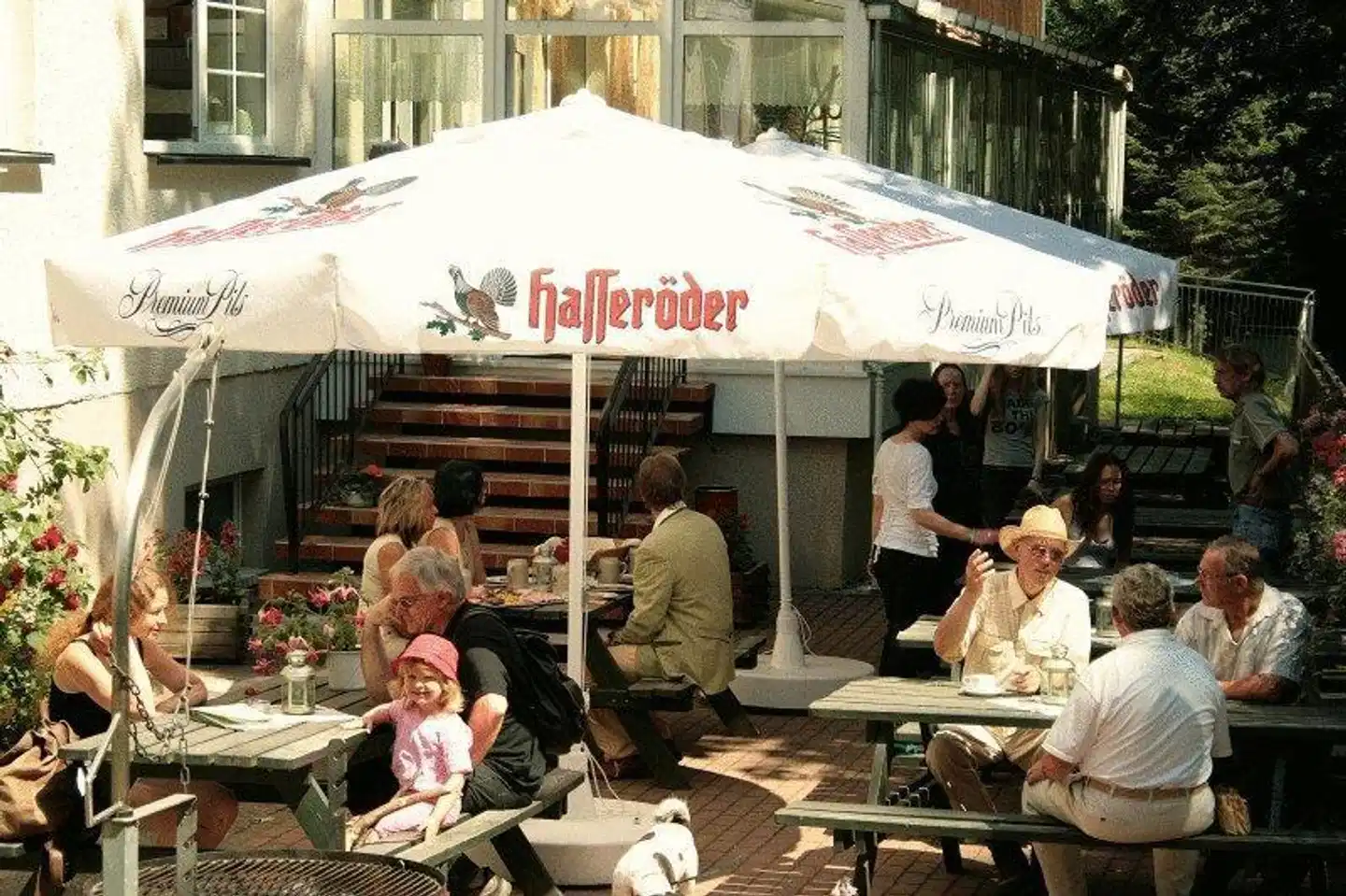 Waldhotel Ilsestein Terrasse