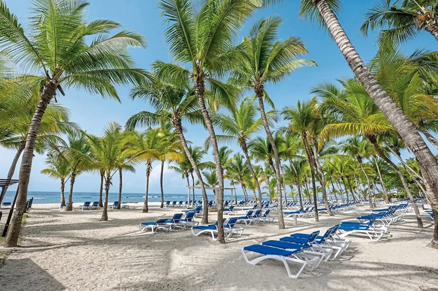 Coral Costa Caribe Beach Resort Strand