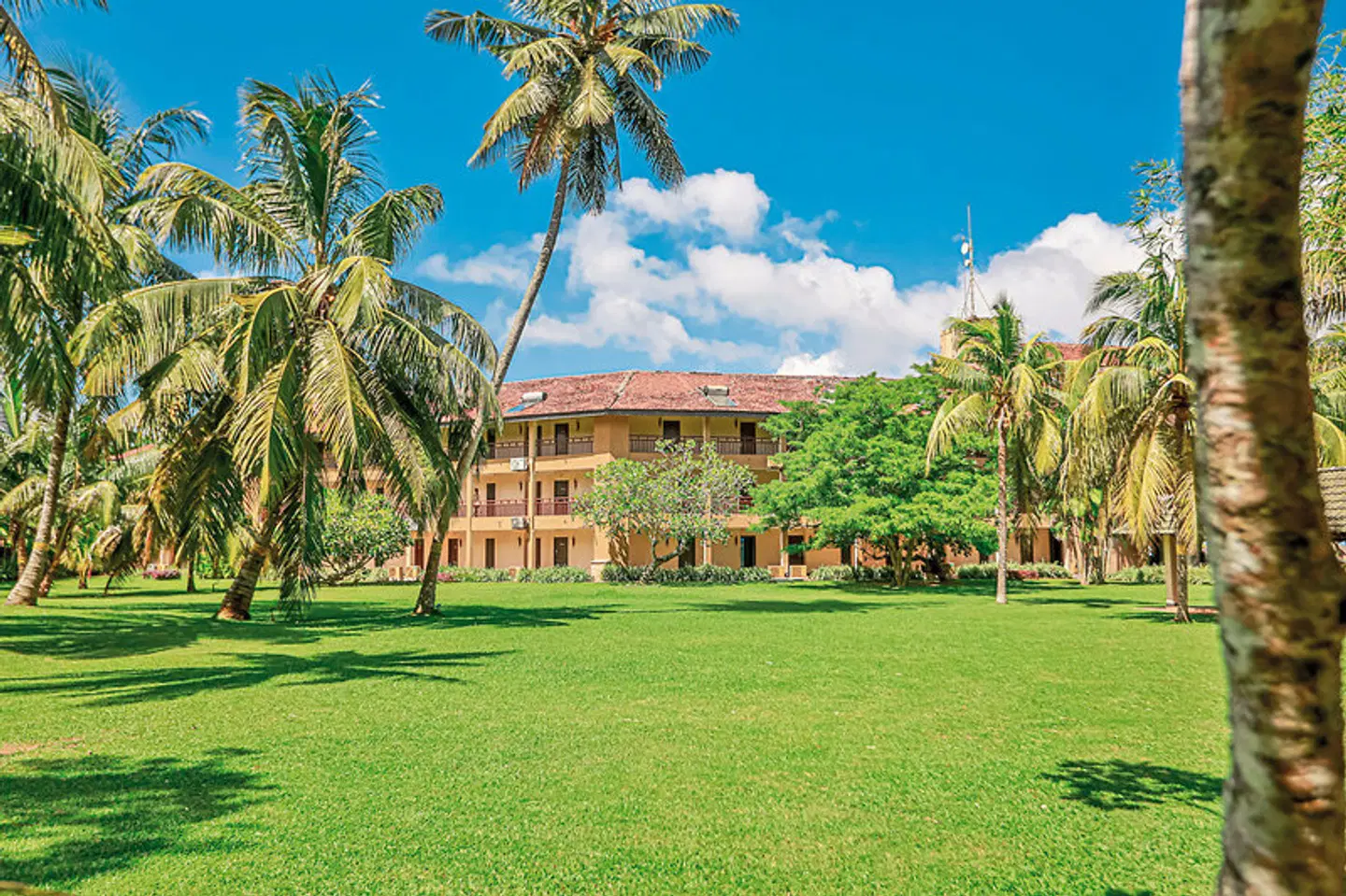 The Palms Hotel EXTERIOR