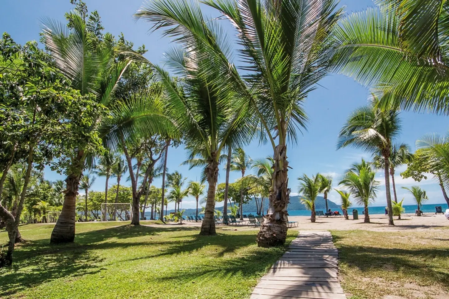 Barceló Tambor Garten