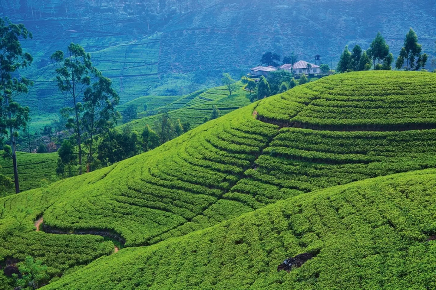 Sri Lanka kompakt (Gruppenreise) LANDSCAPE