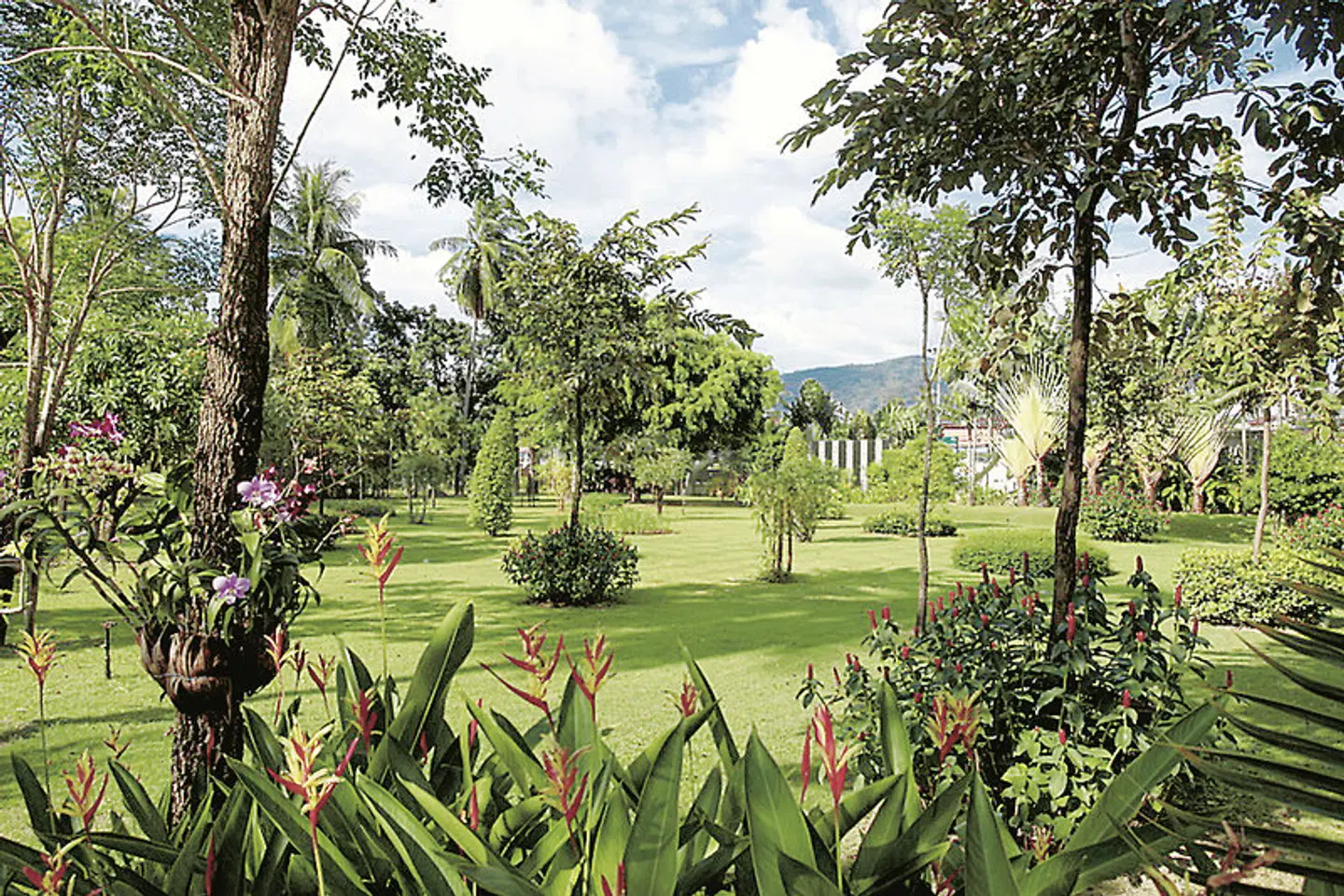 Duangjitt Resort & Spa Garten