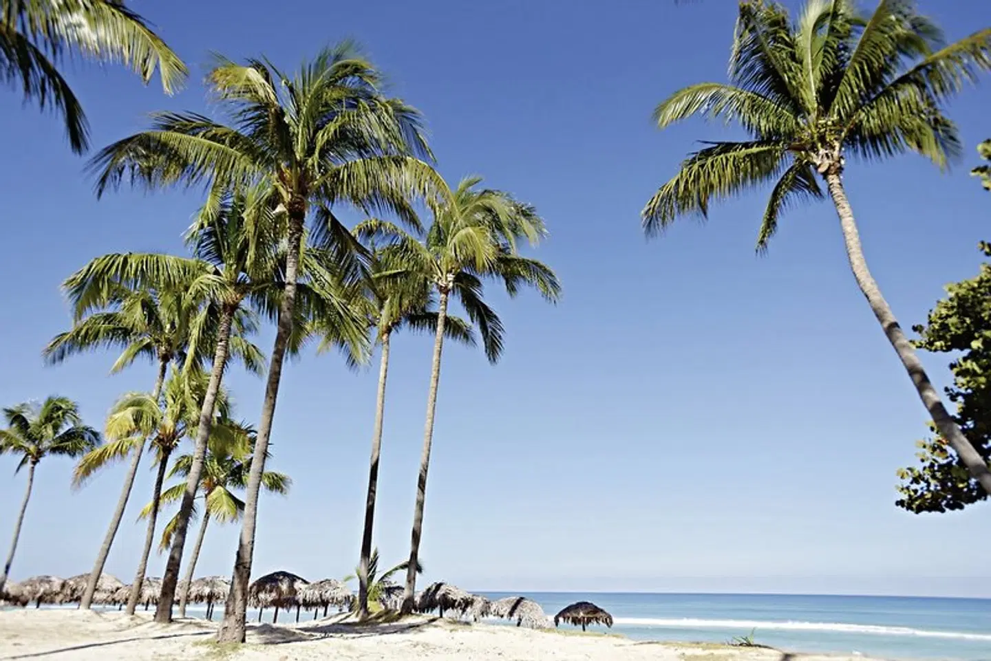 Cuatro Palmas Strand