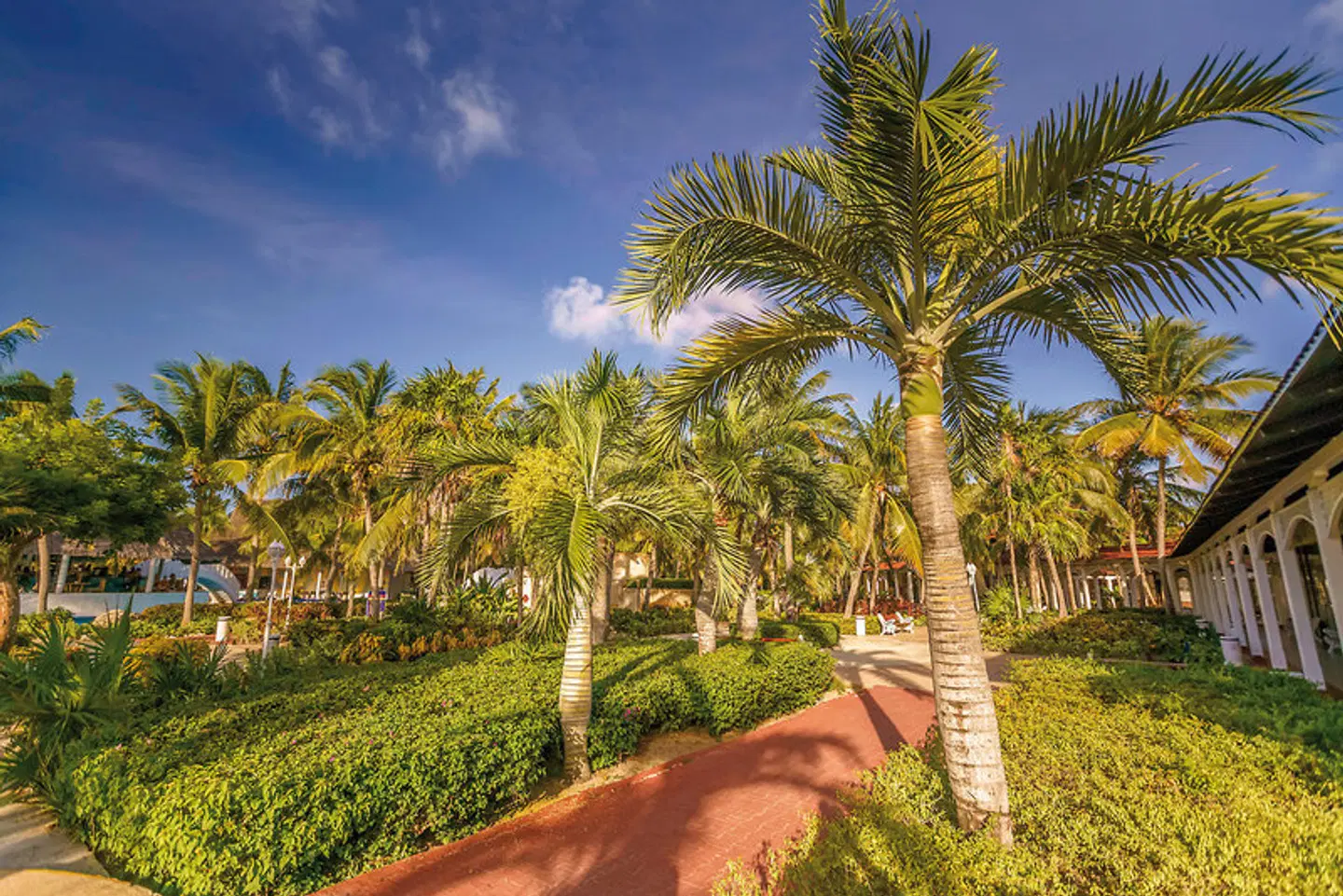 Cayo Santa Maria Hotel LANDSCAPE