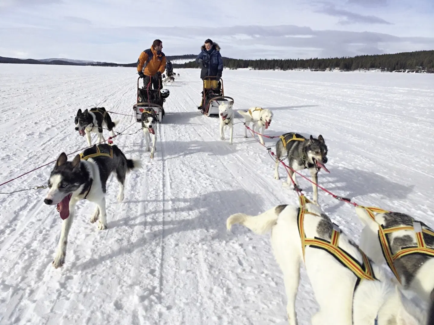 Wildlife, Polarlichter und Naturparadies Senja SPORTS_AND_LEISURE