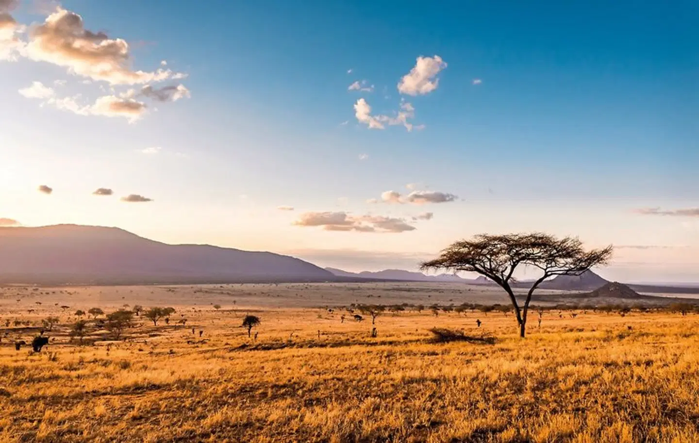 Kenia Explorer LANDSCAPE