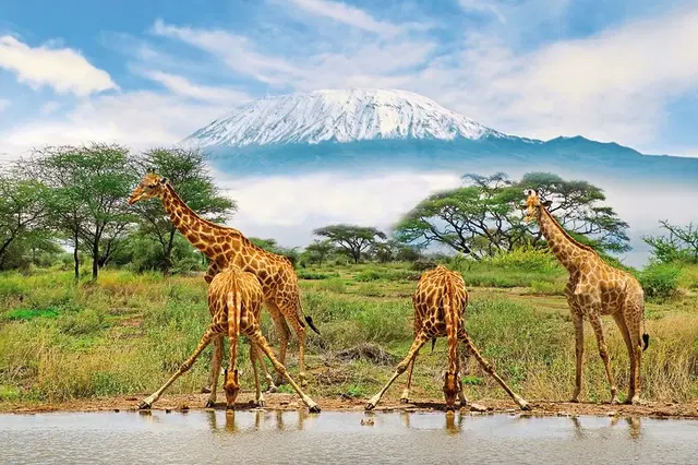 Die große Kenia Safari SPORTS_AND_LEISURE