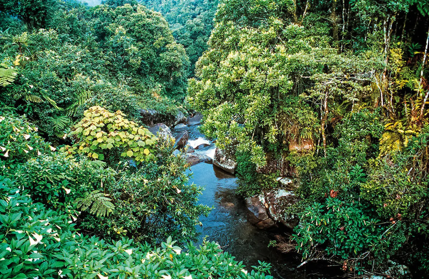 Madagaskar Intensiv LANDSCAPE