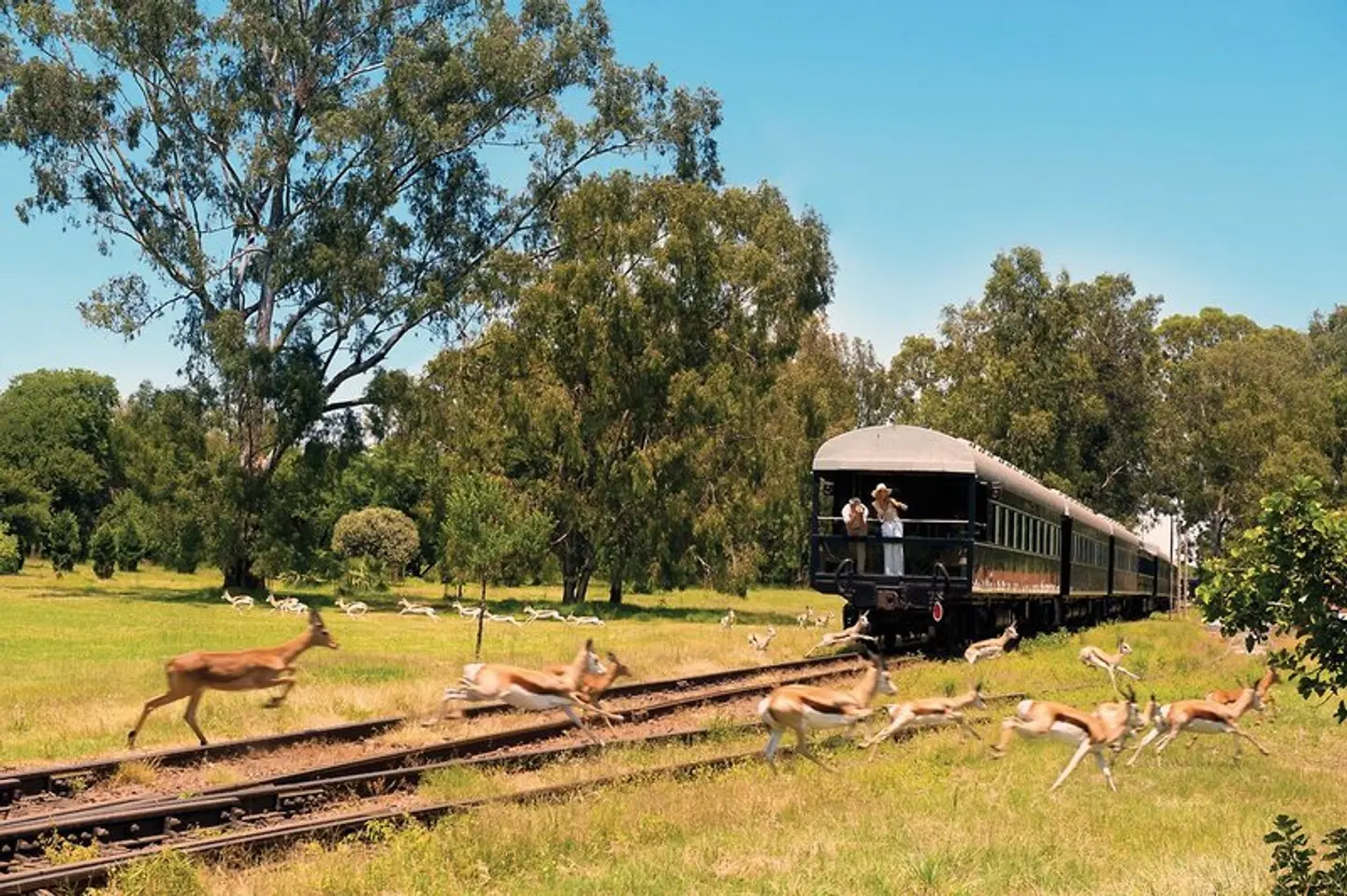 Rovos Rail - The Pride of Africa SPORTS_AND_LEISURE