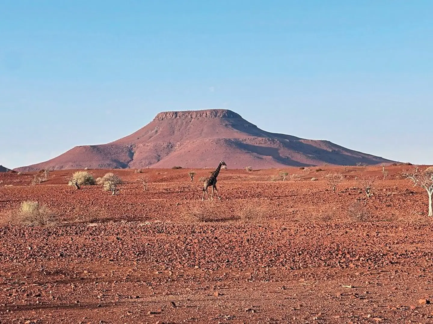 Traumreise Namibia LANDSCAPE