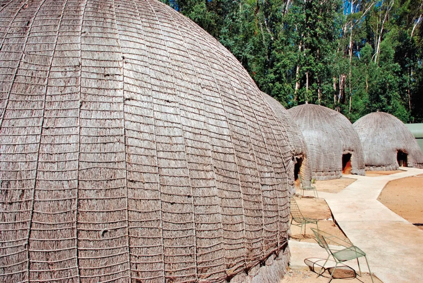 Mlilwane Wildlife Sactuary Tiere