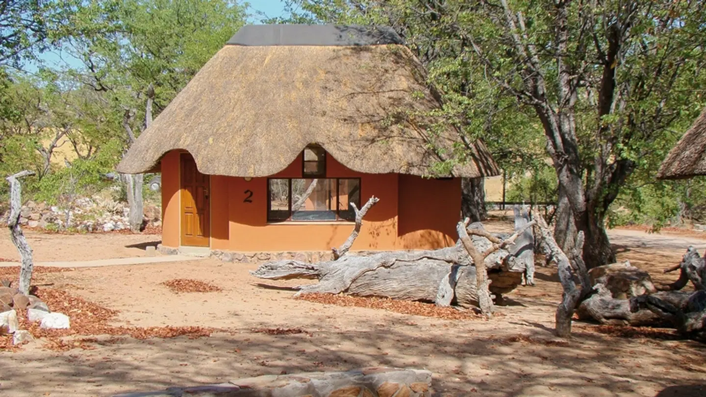 Hobatere Lodge Tiere