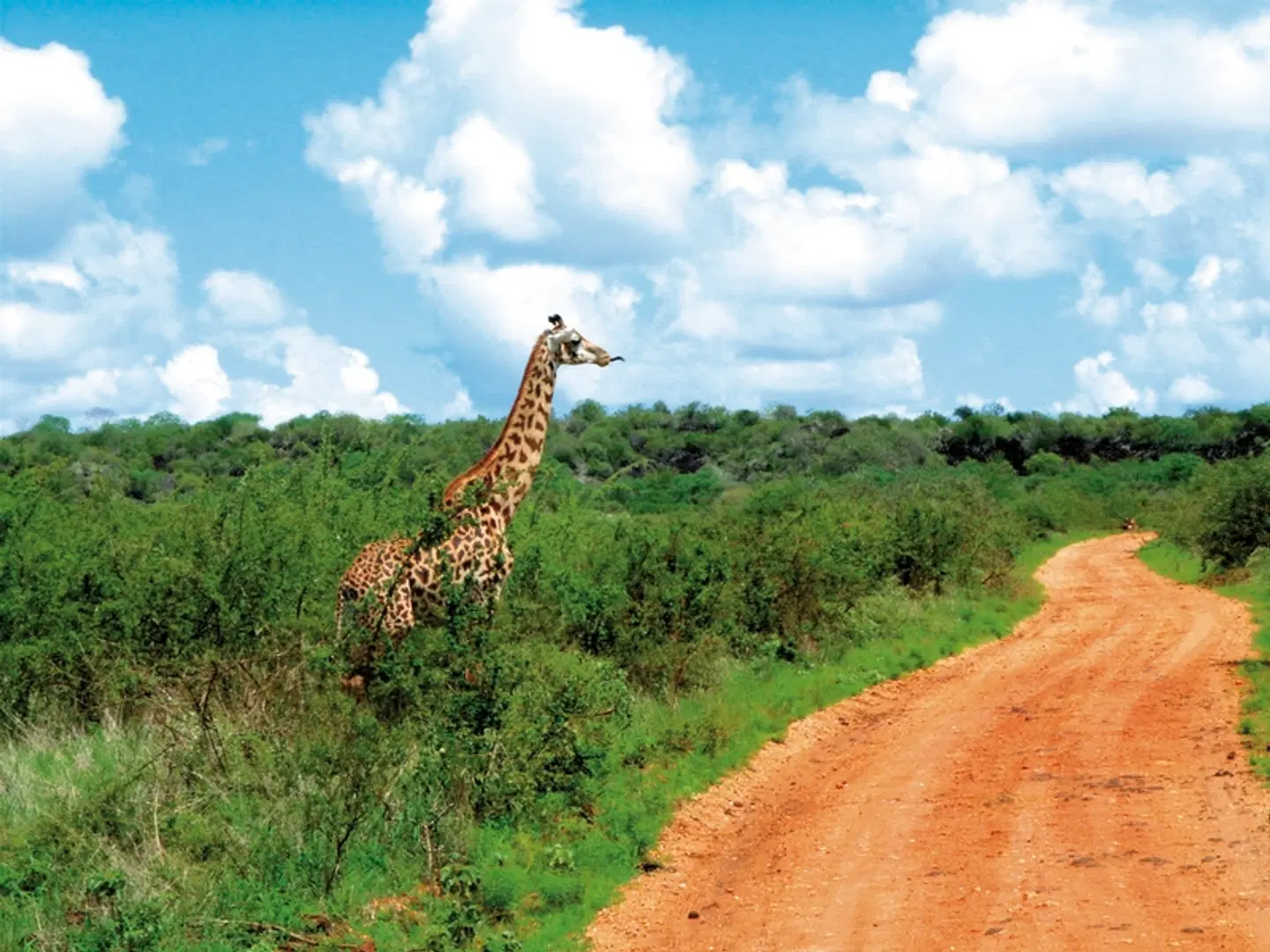 Tsavo Abenteuer LANDSCAPE