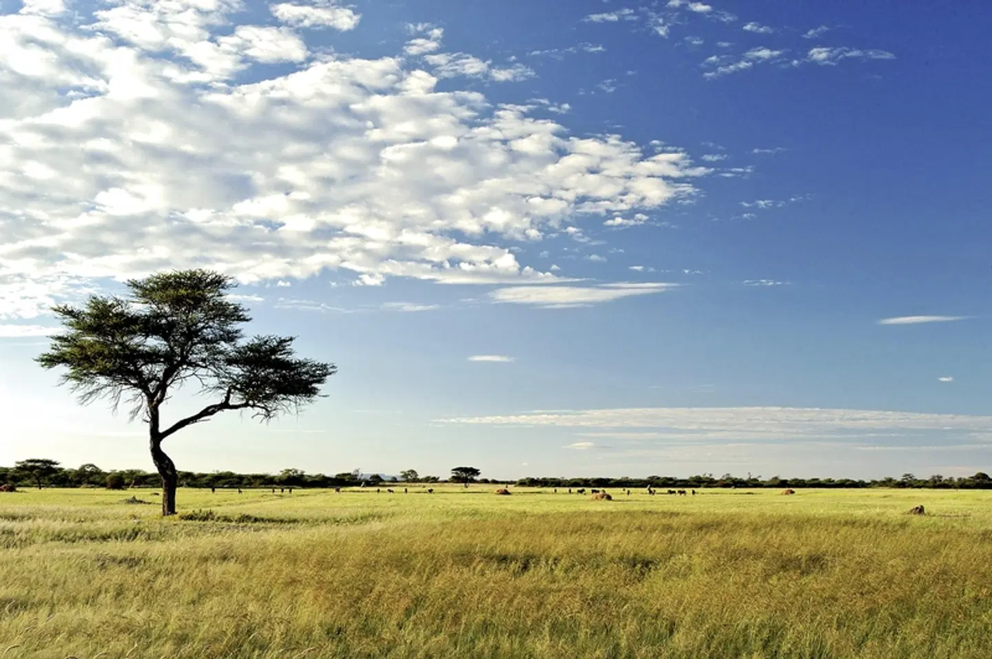 Namibia mit Kinderaugen LANDSCAPE