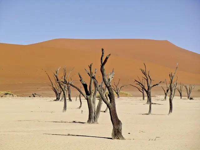 Dünenzauber Sossusvlei Tiere