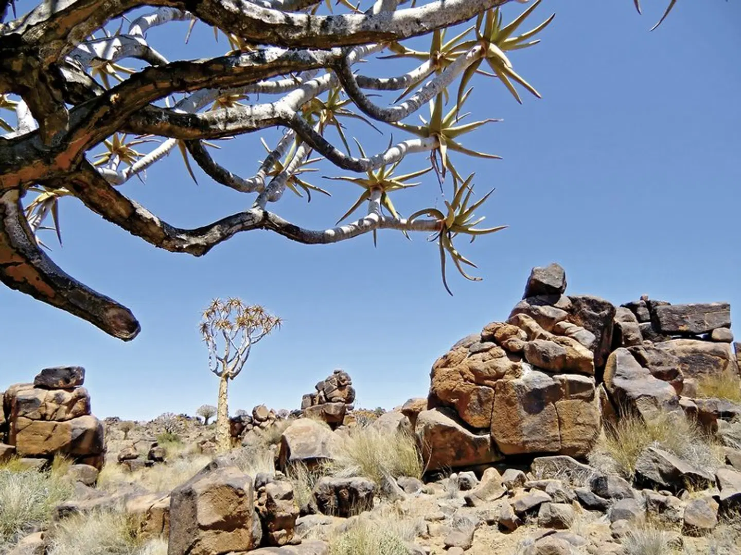 Best of Namibia Standard LANDSCAPE