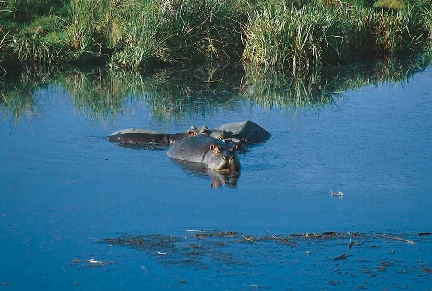 Tansania Explorer Landschaft