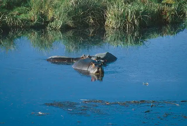 Tansania Explorer Landschaft