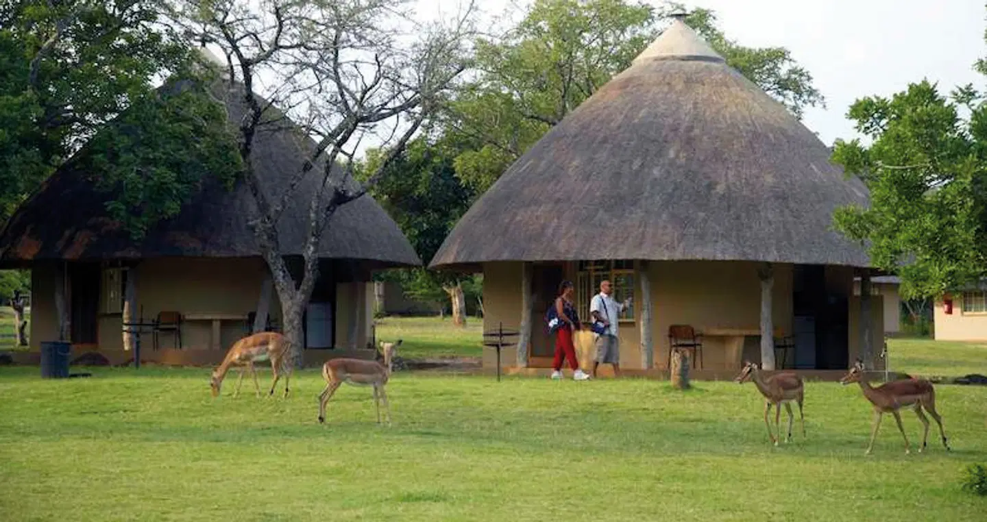 Pretoriuskop Rest Camp Tiere