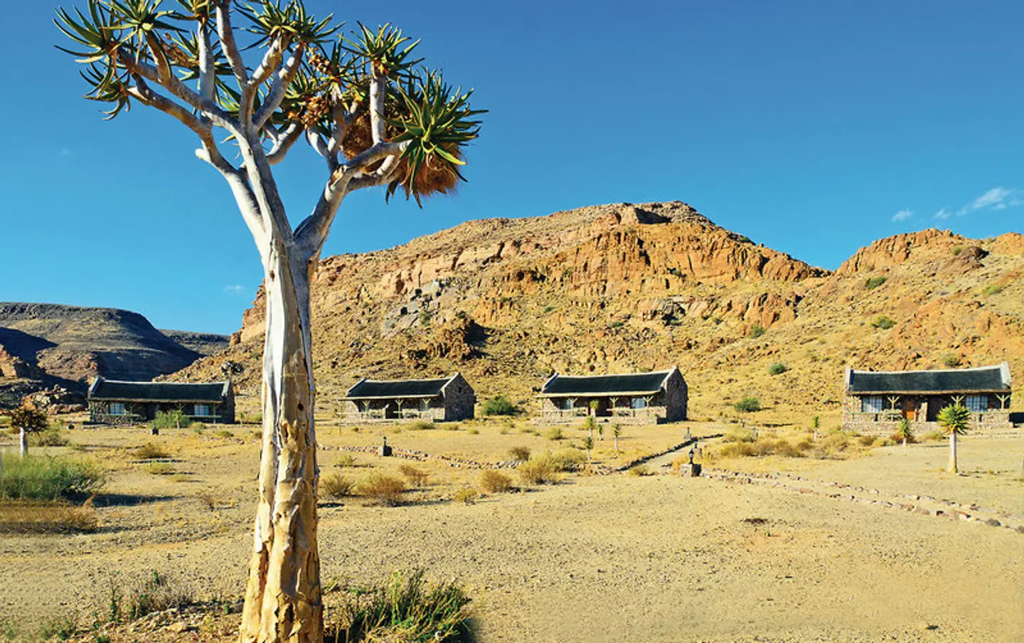 Canyon Village Tiere