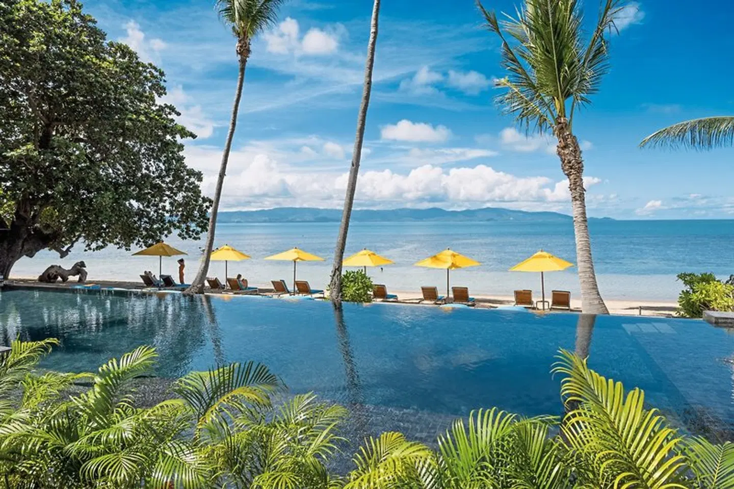 Explorar Koh Phangan OUTDOOR_POOL