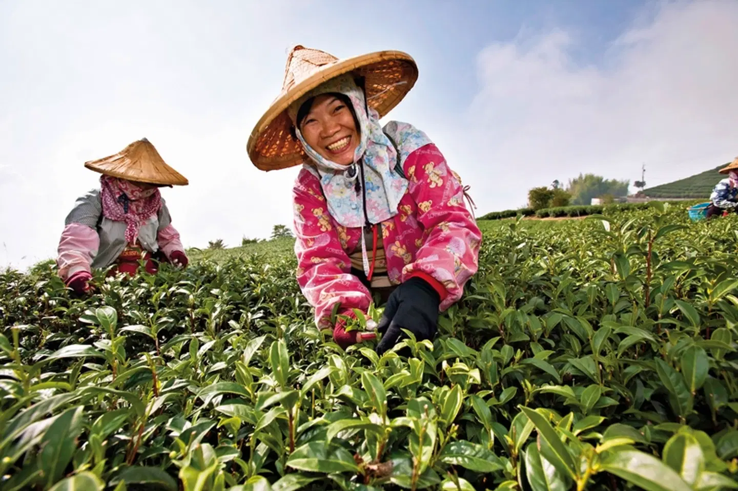 Taiwan und Japan entdecken (nur Landprogramm) PEOPLE