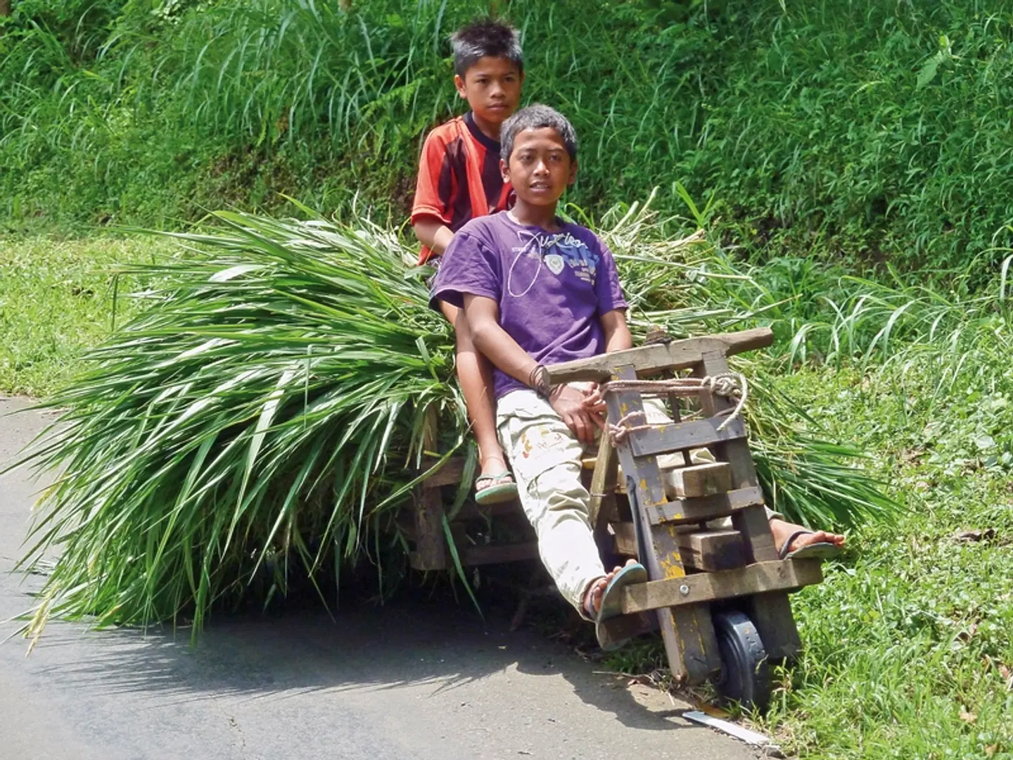 Geheimnisvolles Java (Privatreise) SPORTS_AND_LEISURE