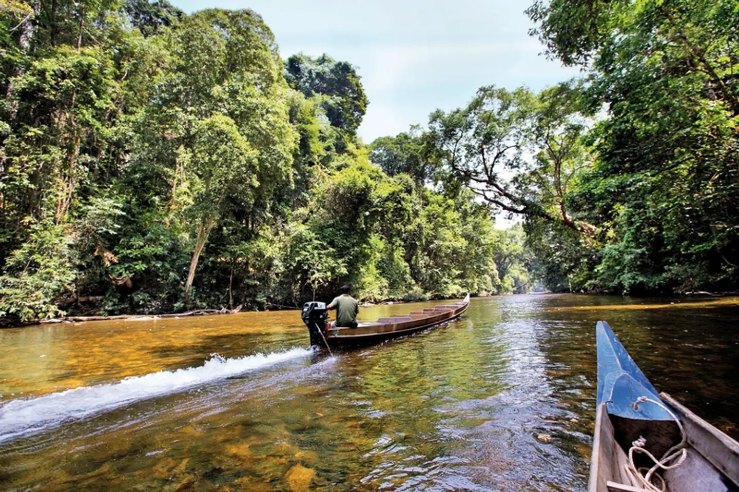 Taman Negara (2 Nächte) LANDSCAPE