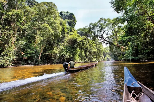 Taman Negara (2 Nächte) LANDSCAPE