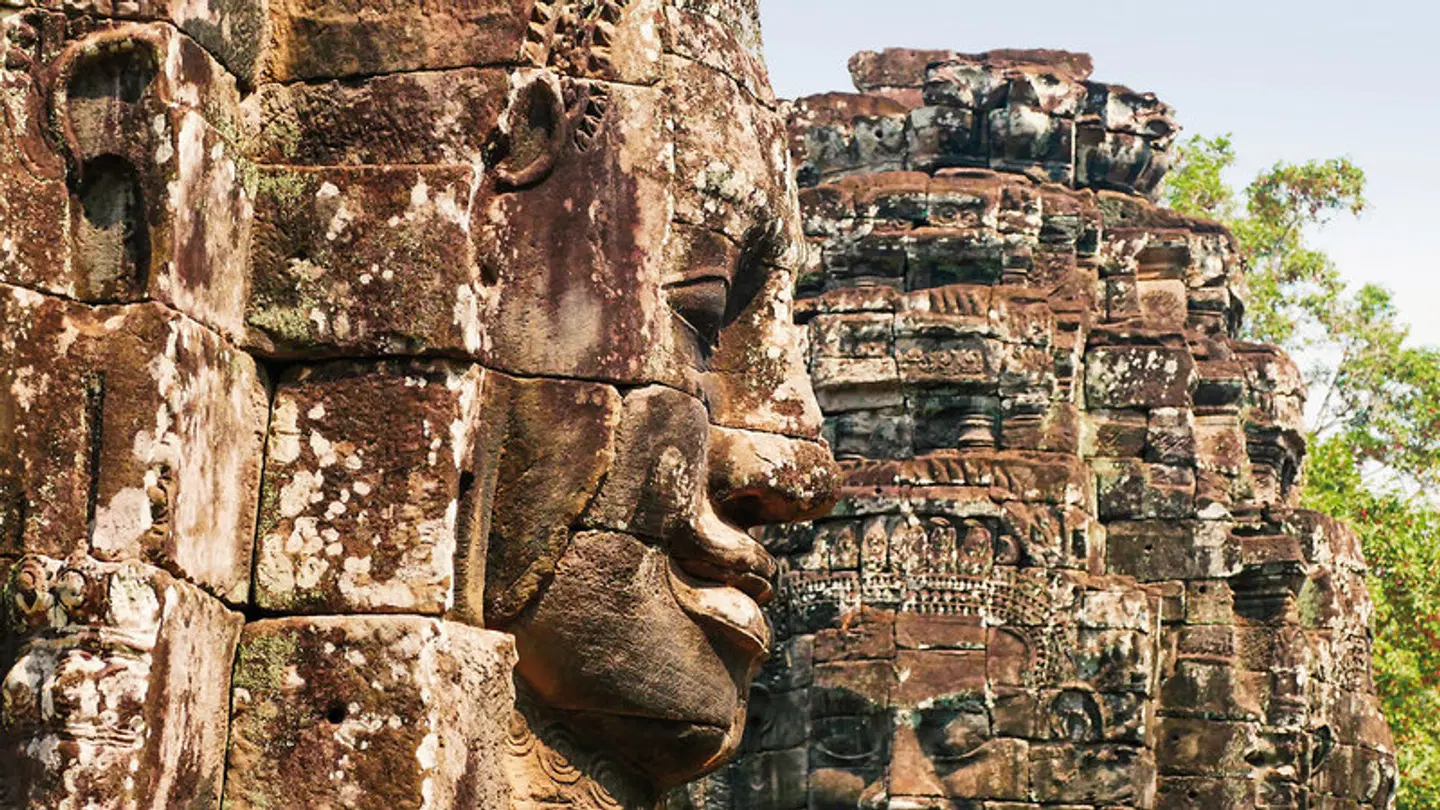 Stippvisite Angkor Wat Tiere