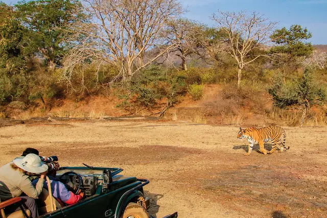 Das Goldene Dreieck Indiens - Kultur & Wildlife LANDSCAPE