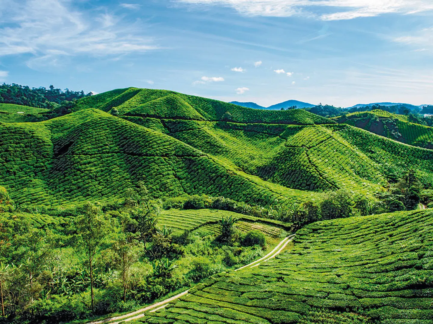 Best of Malaysia (Gruppenreise) LANDSCAPE