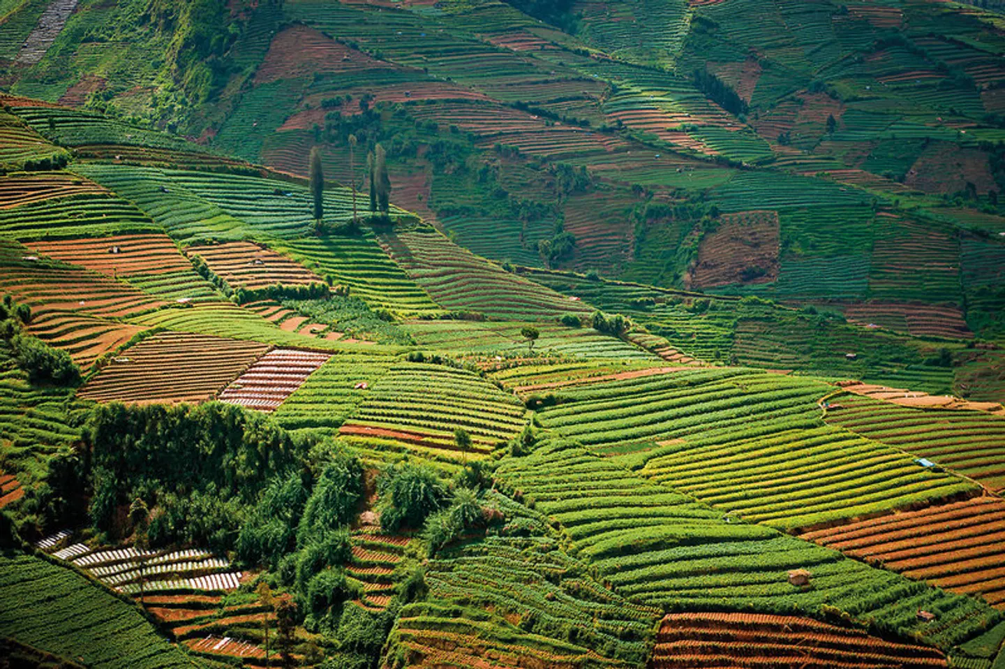Natur, Kultur und Tradition (Gruppenreise) LANDSCAPE