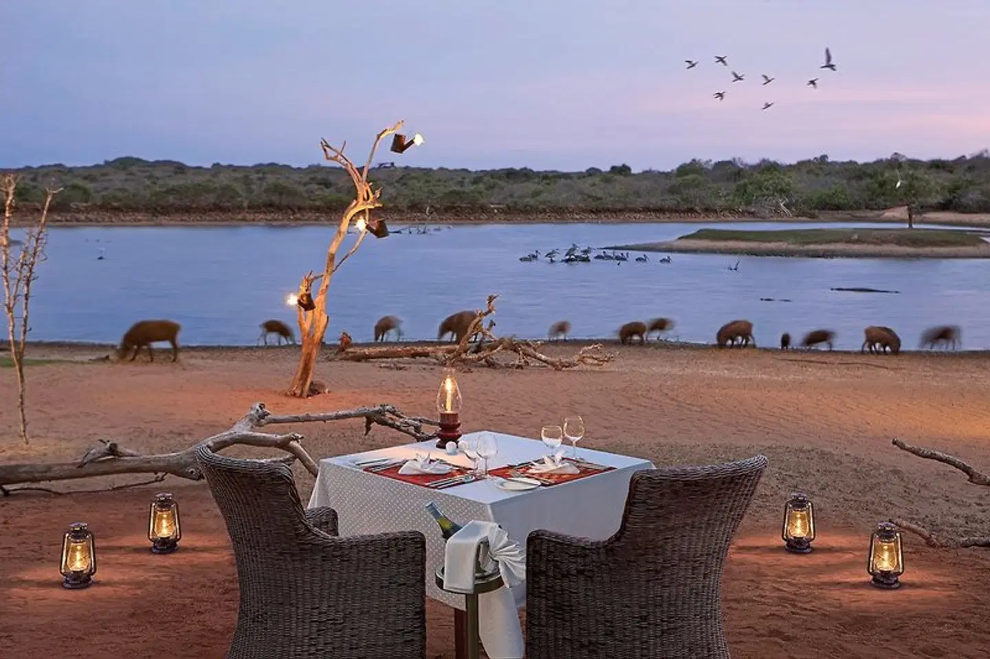Cinnamon Wild Yala Restaurant