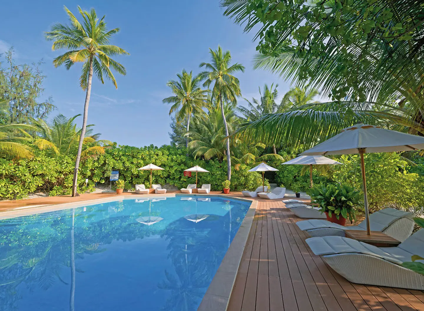 Safari Island Resort & Spa OUTDOOR_POOL