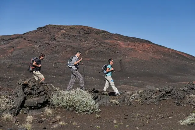 La Réunion - Nachhaltiger das Paradies entdecken Tiere