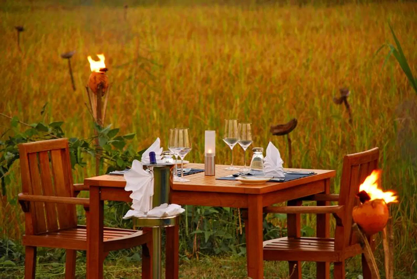 Jetwing Vil Uyana Terrasse